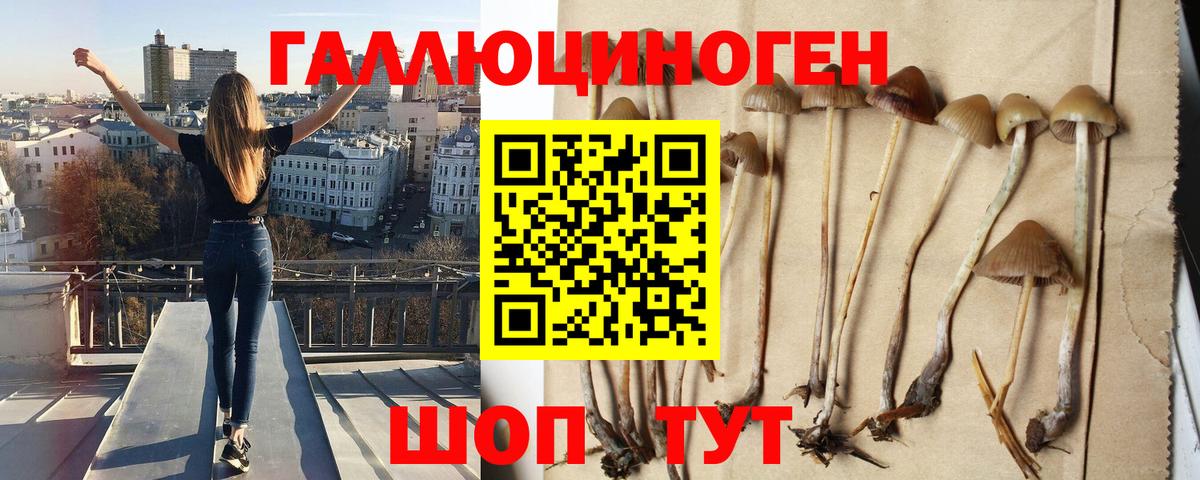 Галлюциногенные грибы GOLDEN TEACHER Муром