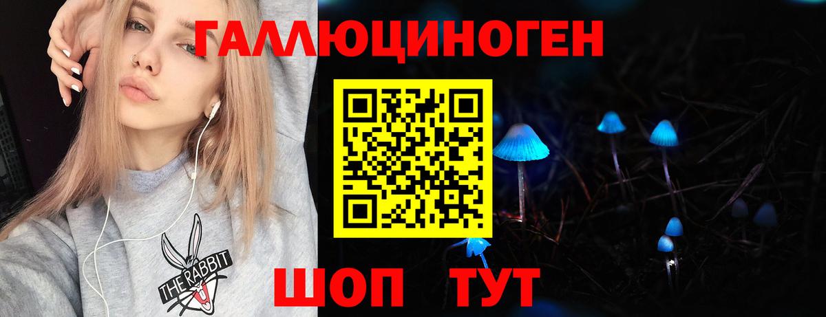 где можно купить   Галлюциногенные грибы Magic Shrooms  Вход с VPN  Муром  Галлюциногенные грибы мицелий 